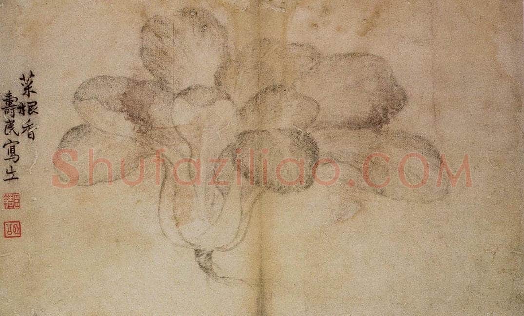1728年 边寿民 《蔬果册》 书画作品