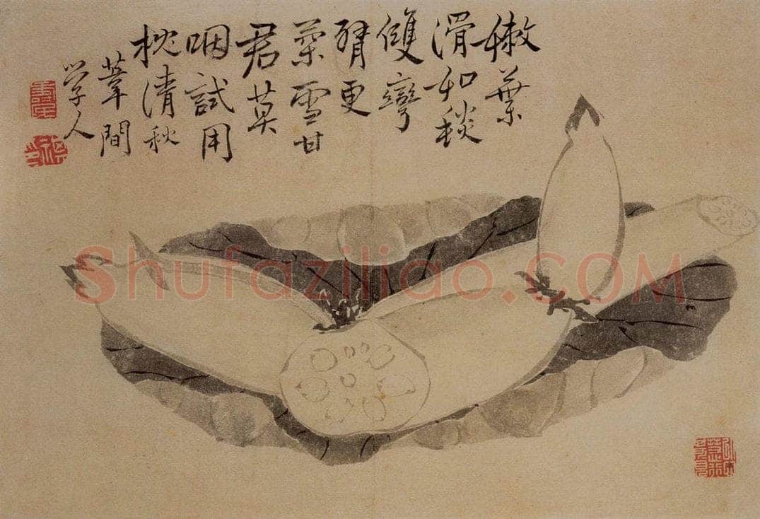 1732年 边寿民 《杂画册》 书画作品