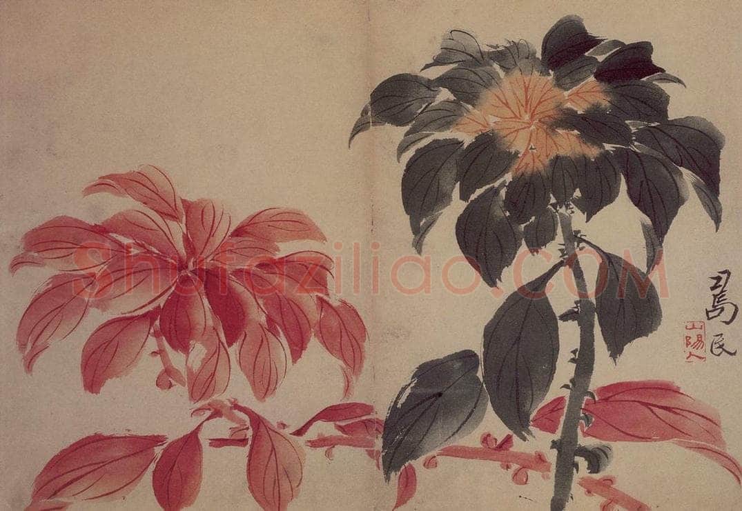 1735年 边寿民 《花果册》 书画作品