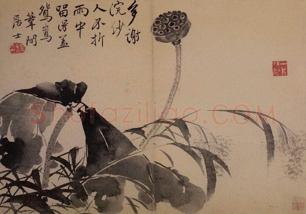 1735年 边寿民 《花果册》 书画作品