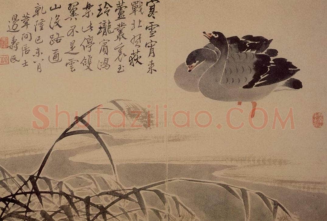 1739年 边寿民 《芦雁花卉册》 书画作品