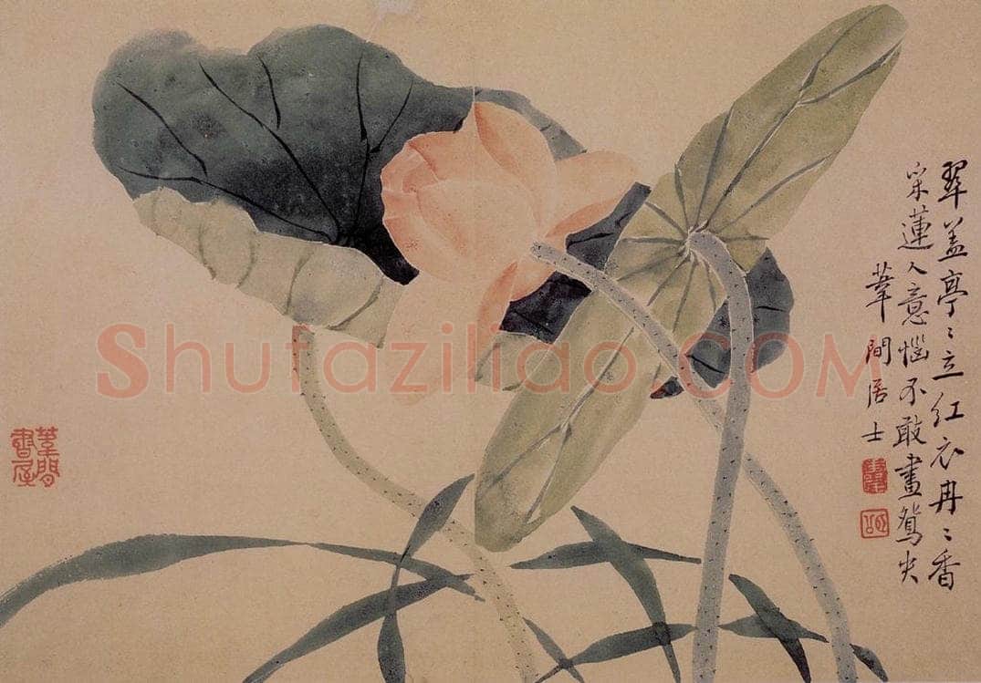 1739年 边寿民 《芦雁花卉册》 书画作品