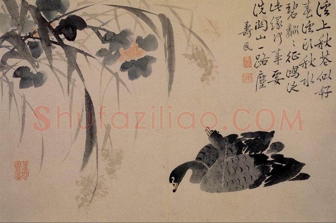 1739年 边寿民 《芦雁花卉册》 书画作品
