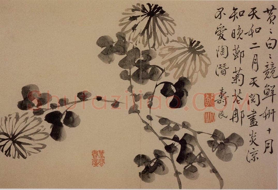 1739年 边寿民 《芦雁花卉册》 书画作品