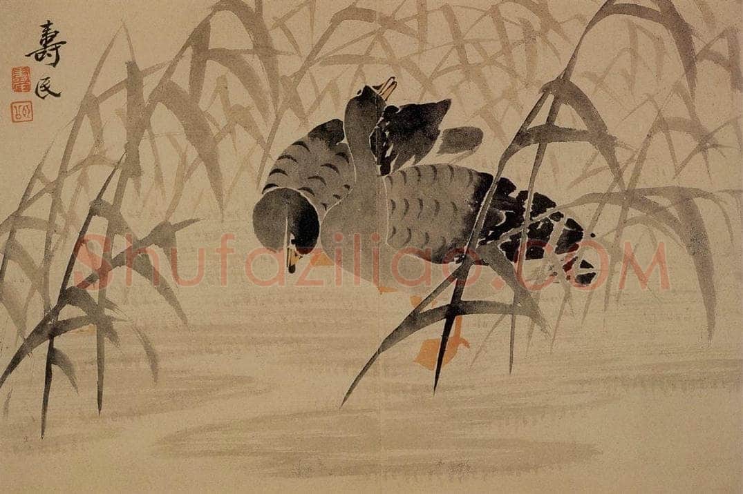 1739年 边寿民 《芦雁花卉册》 书画作品