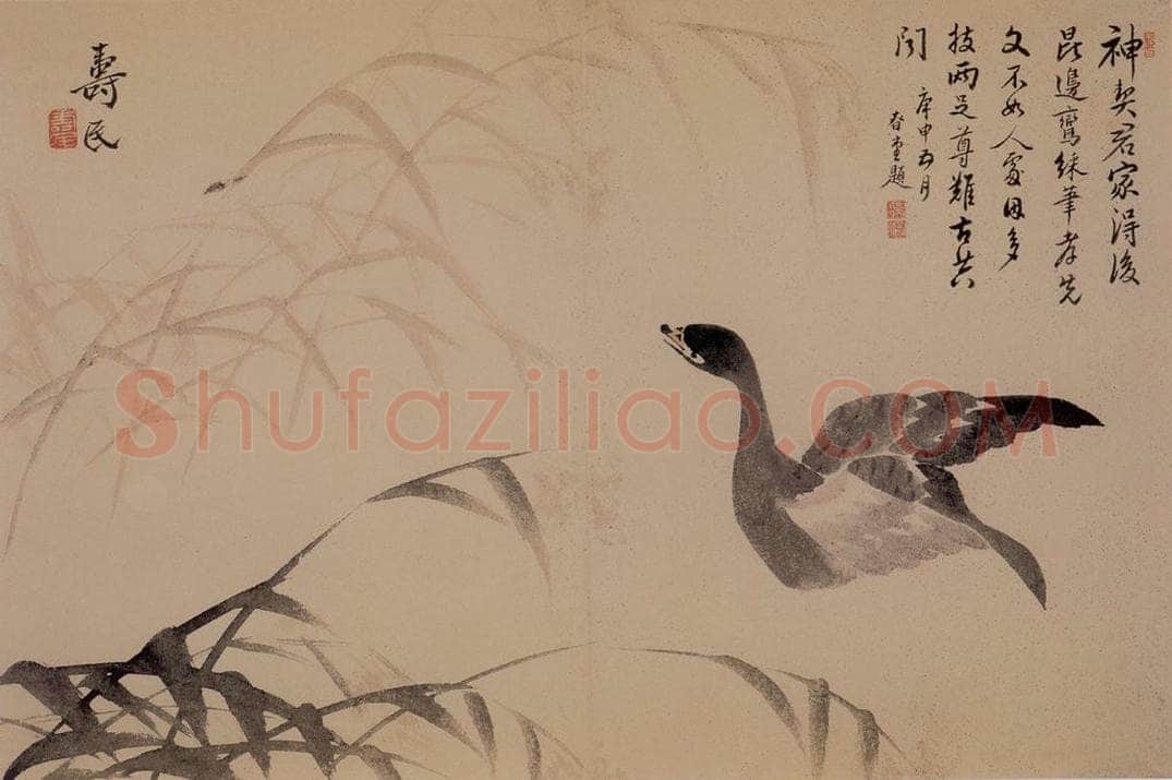 1739年 边寿民 《芦雁花卉册》 书画作品