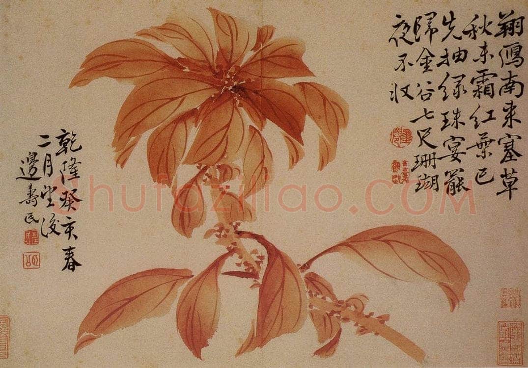 1743年 边寿民 《杂画册》 书画作品