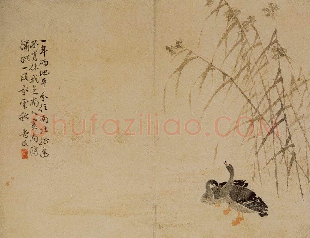 1748年 边寿民 《芦雁图册》 书画作品