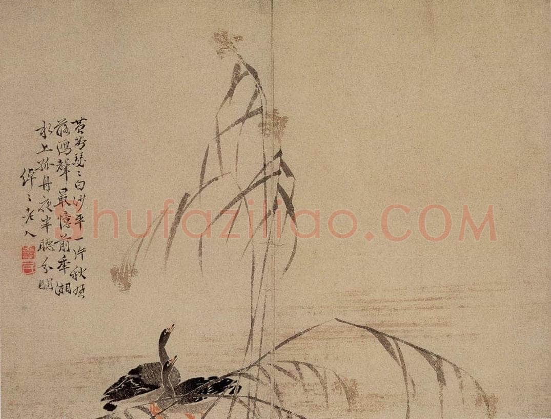 1748年 边寿民 《芦雁图册》 书画作品