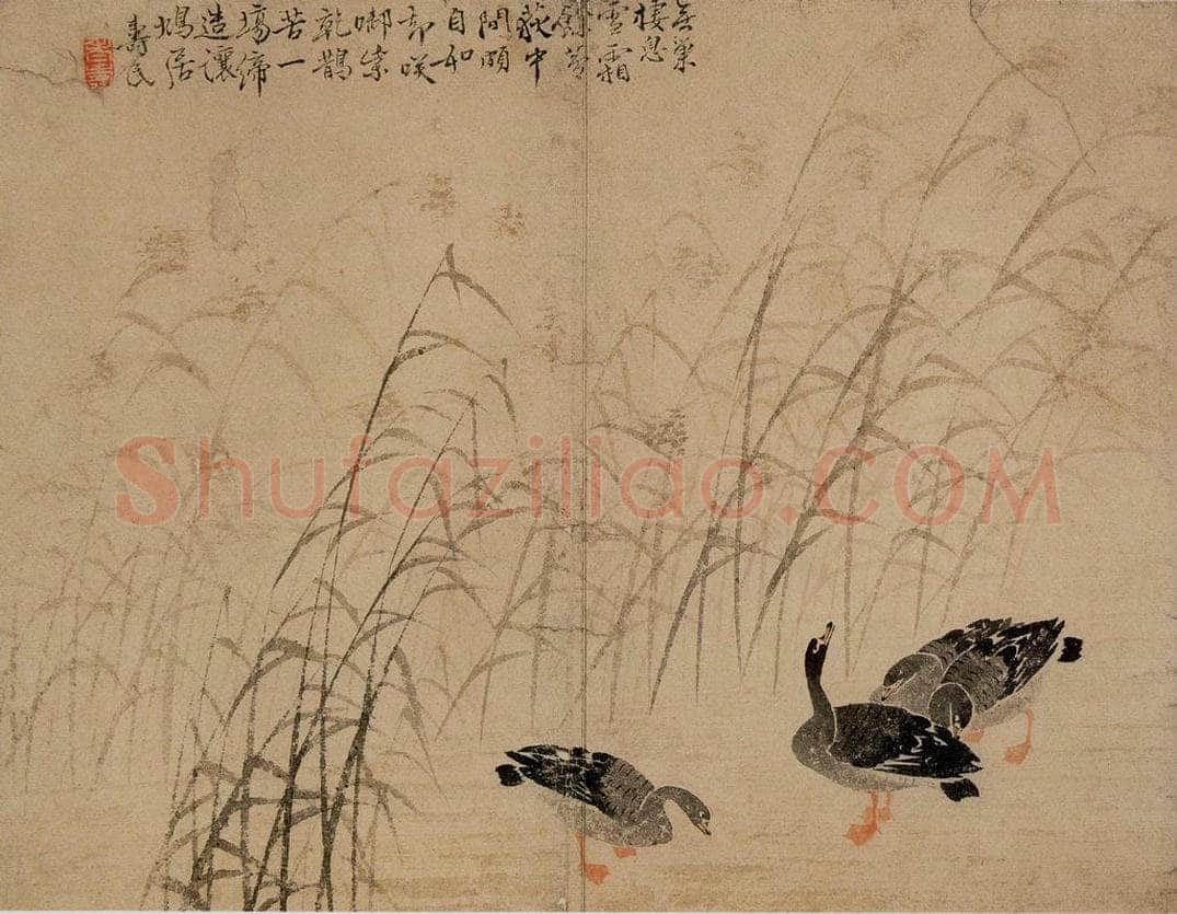1748年 边寿民 《芦雁图册》 书画作品