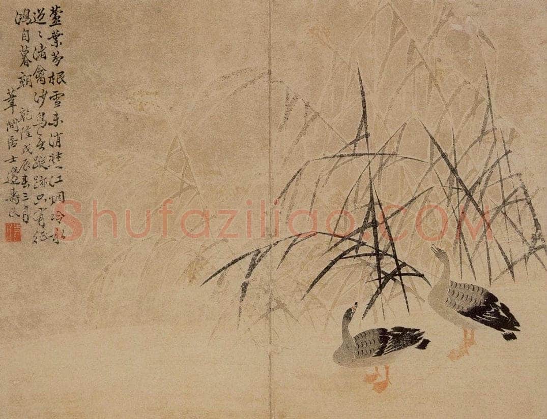 1748年 边寿民 《芦雁图册》 书画作品