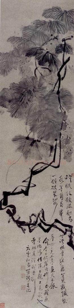 清 罗聘 《墨葡萄》 书画作品