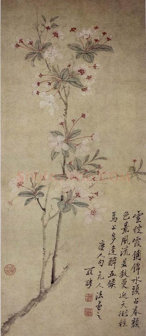 清 罗聘 《海棠》 书画作品