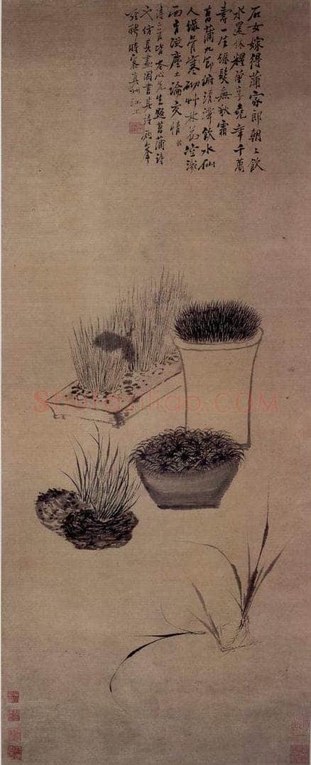 清 罗聘 《蒲草图》 书画作品