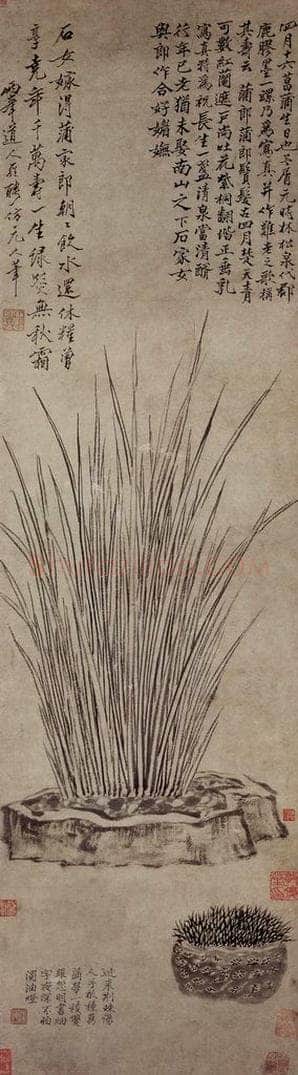 清 罗聘 《菖蒲图》 书画作品