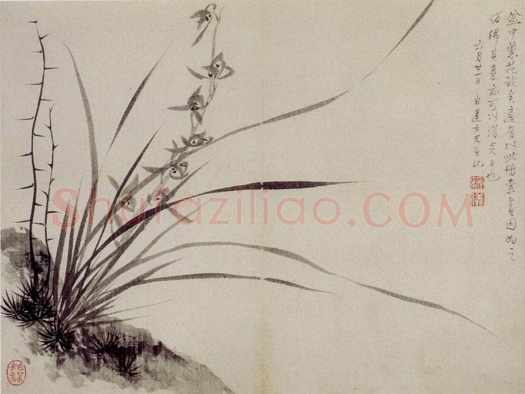 清 罗聘 《师弟合璧册》 书画作品