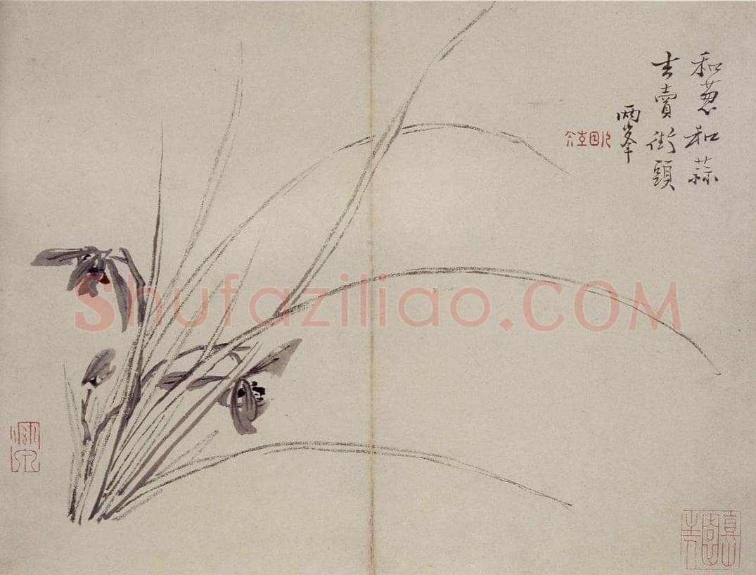 清 罗聘 《兰花册》 书画作品