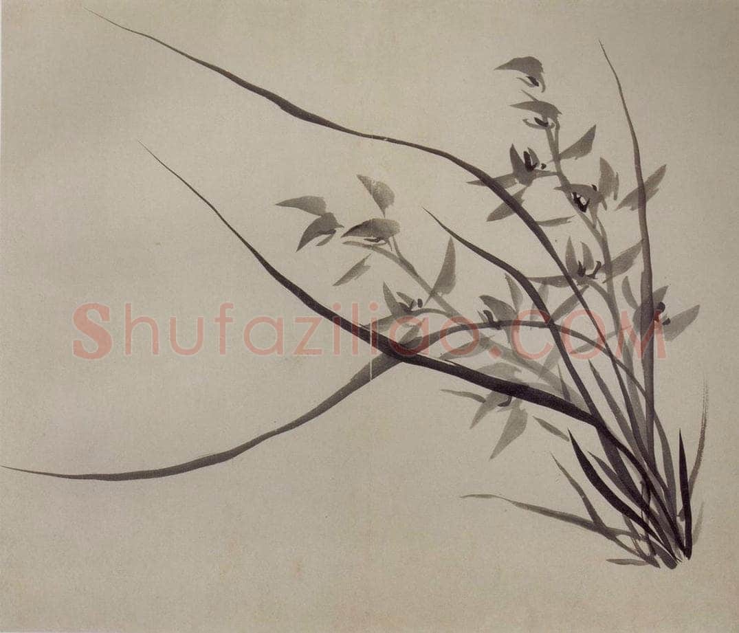 清 罗聘 《兰竹图册》 书画作品