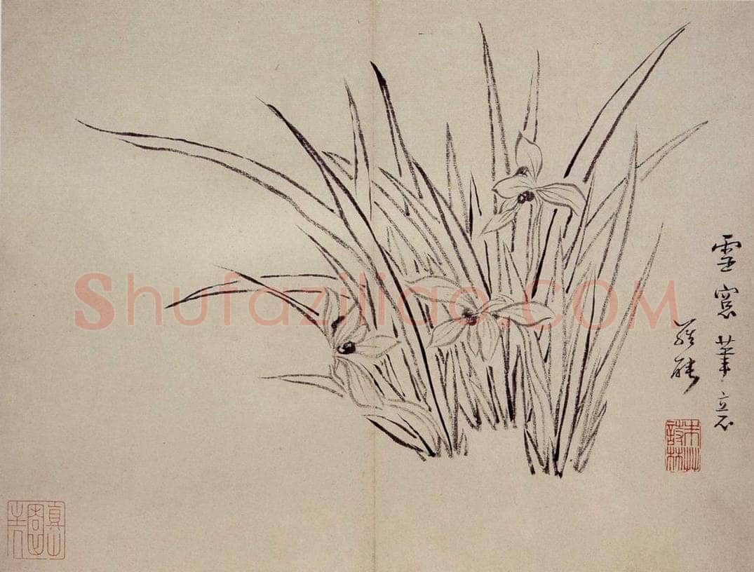 清 罗聘 《兰花册》 书画作品