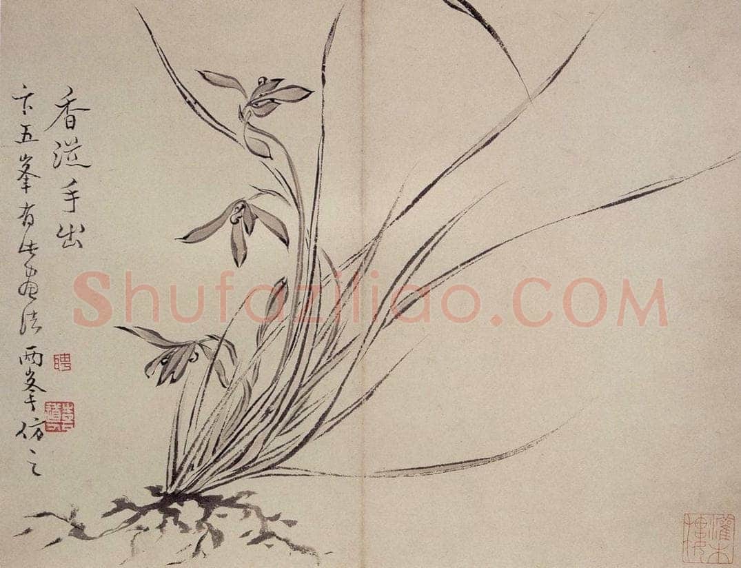 清 罗聘 《兰花册》 书画作品