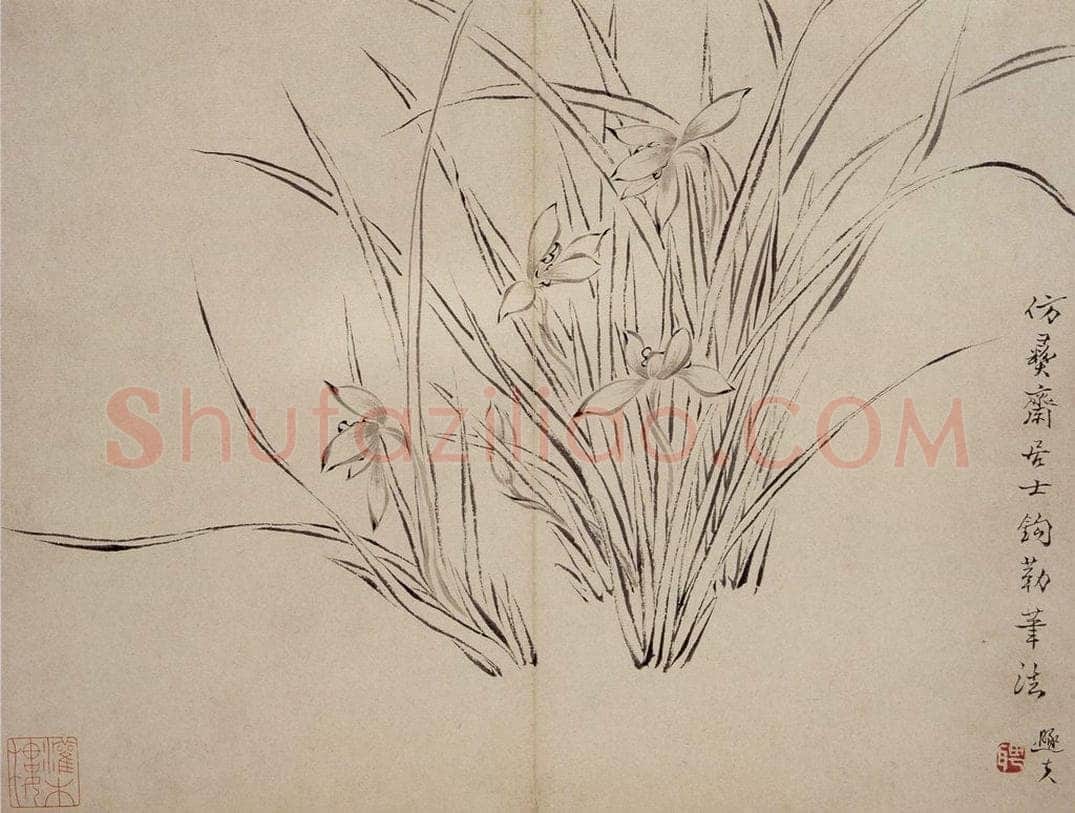 清 罗聘 《兰花册》 书画作品