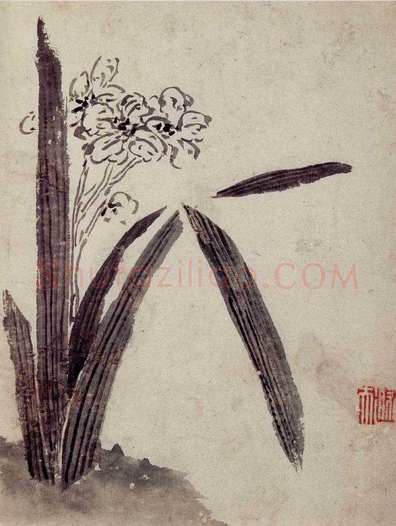 清 罗聘 《花卉册》 书画作品