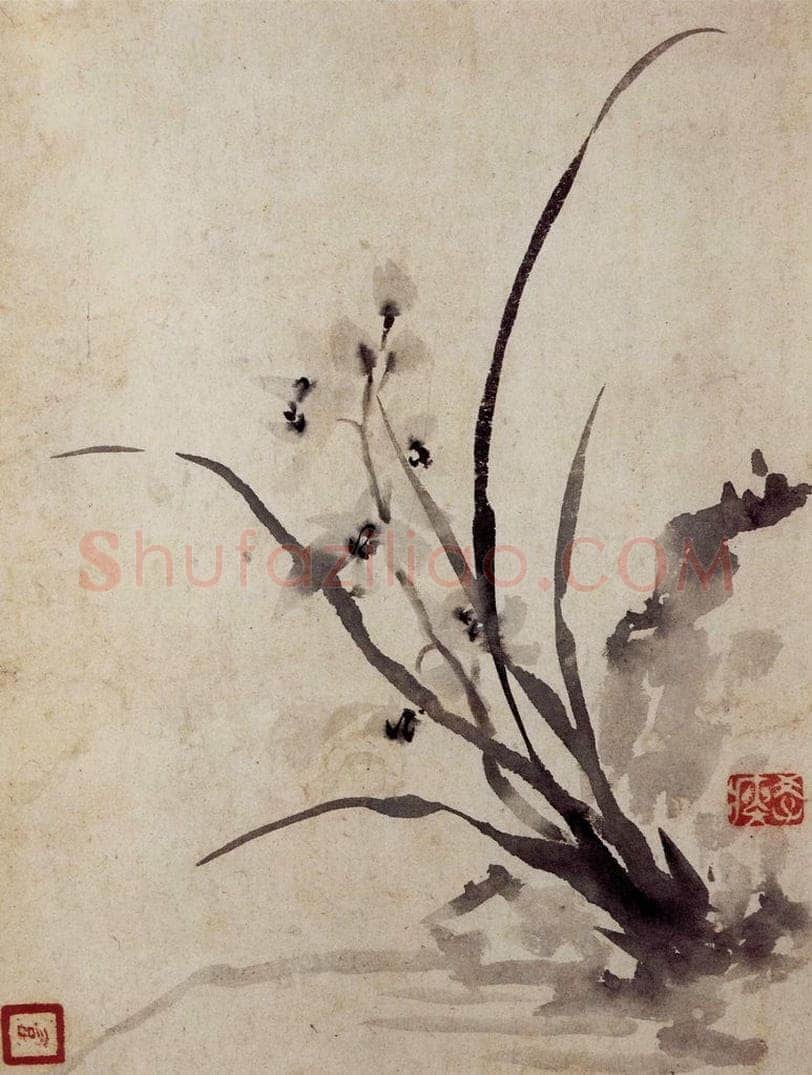 清 罗聘 《花卉册》 书画作品