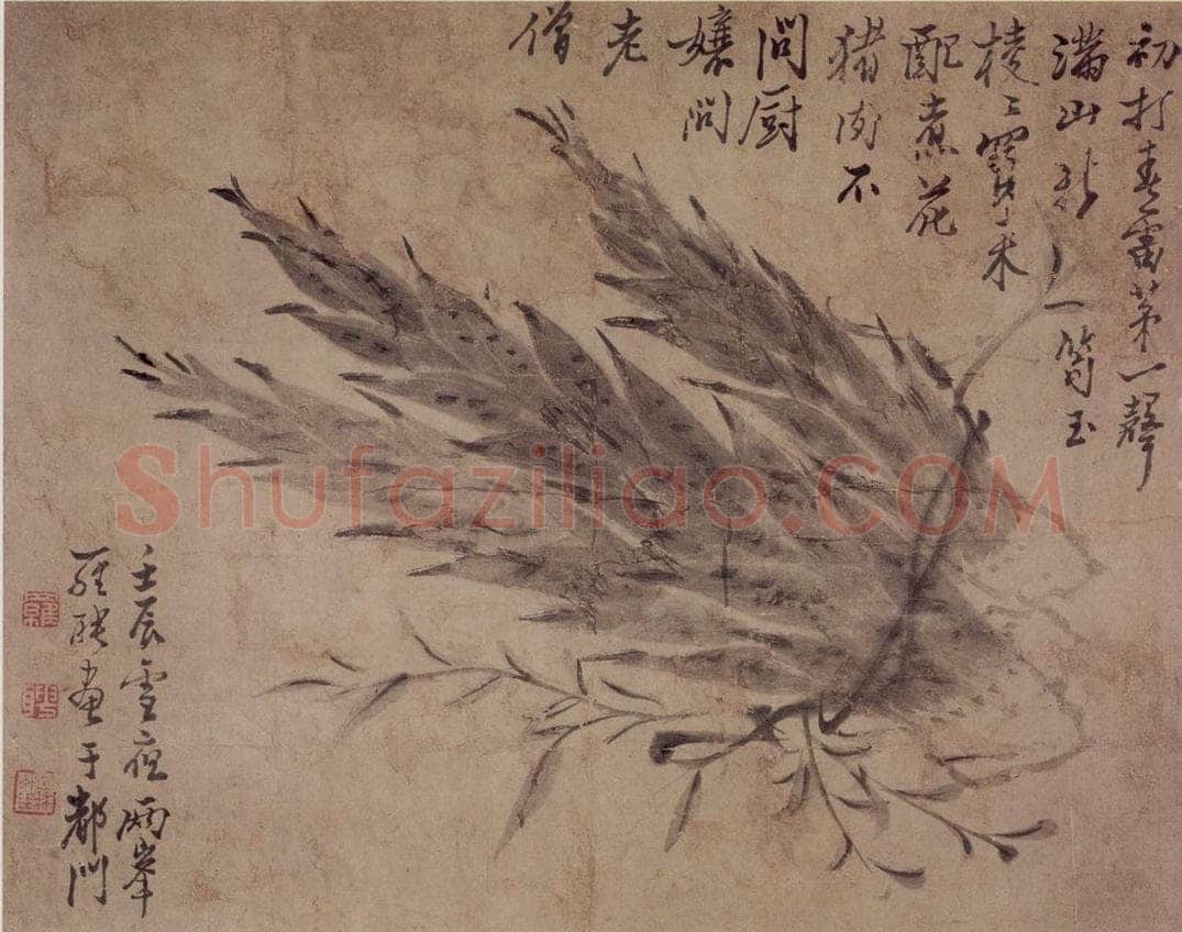 清 罗聘 《竹笋图》 书画作品