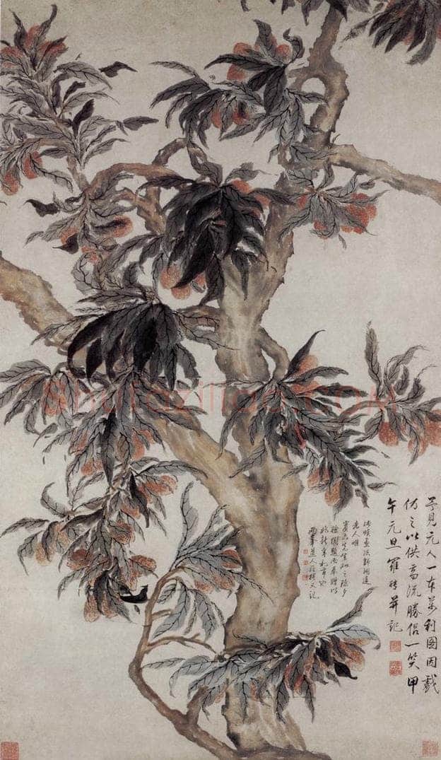 清 罗聘 《荔枝图》 书画作品