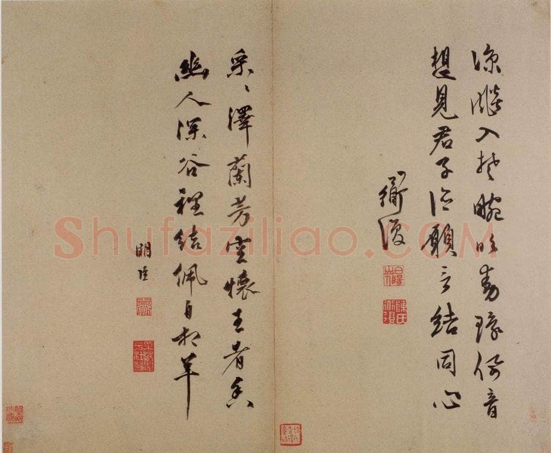  陈淳 《书画册》 书画作品
