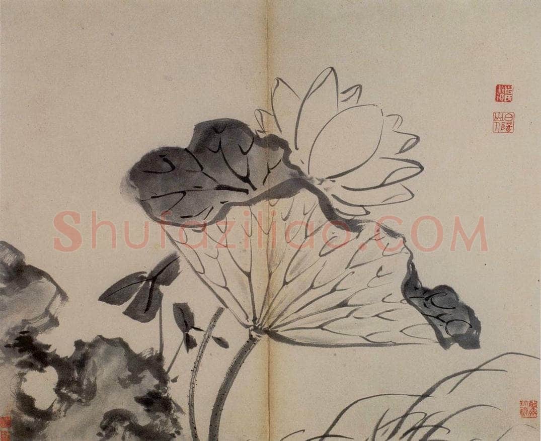  陈淳 《书画册》 书画作品