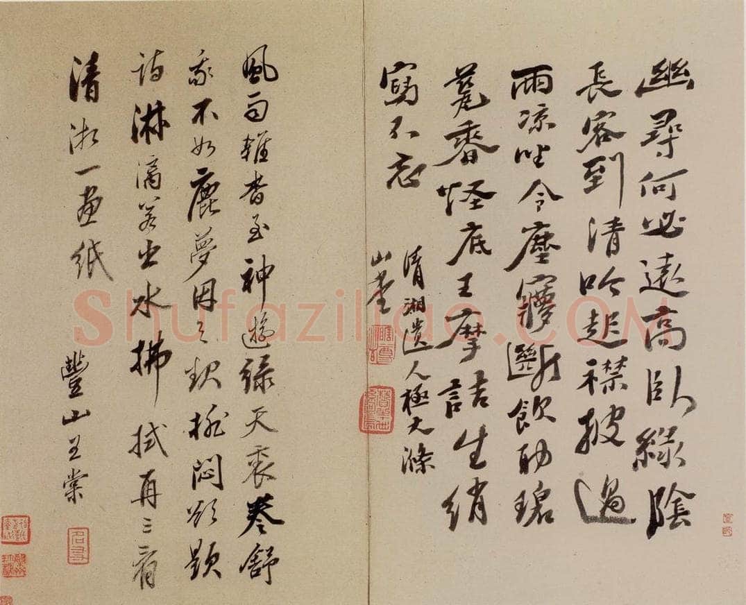  陈淳 《书画册》 书画作品