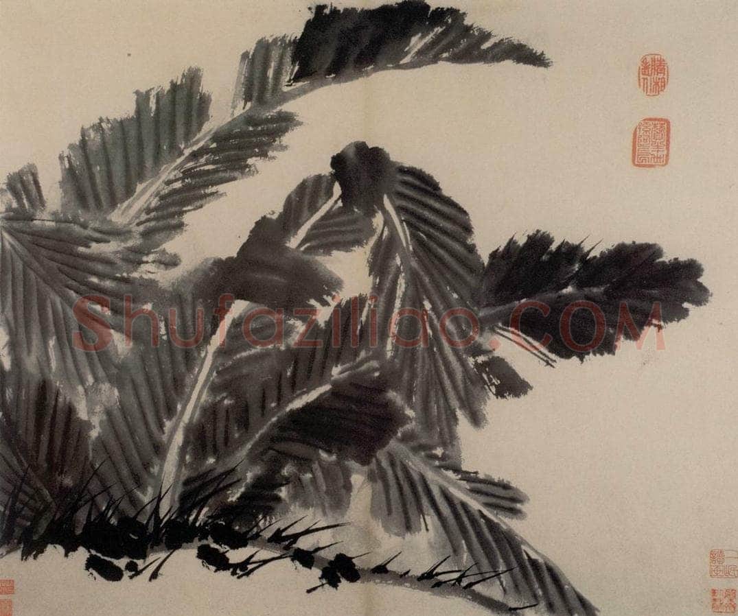  陈淳 《书画册》 书画作品