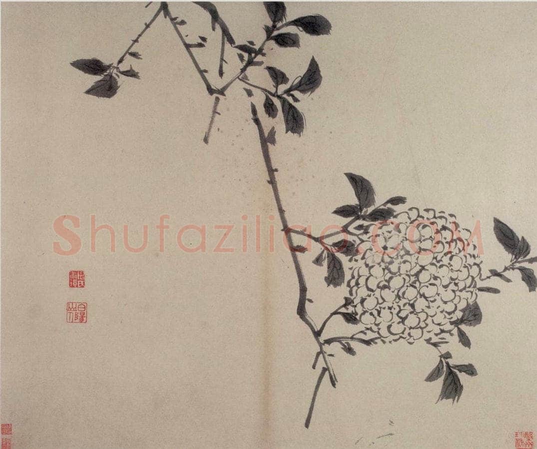 陈淳 《书画册》 书画作品