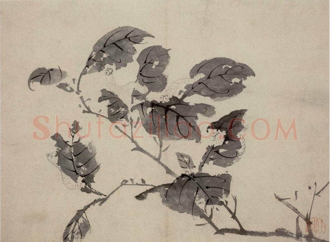 陈淳 《花卉图》 书画作品