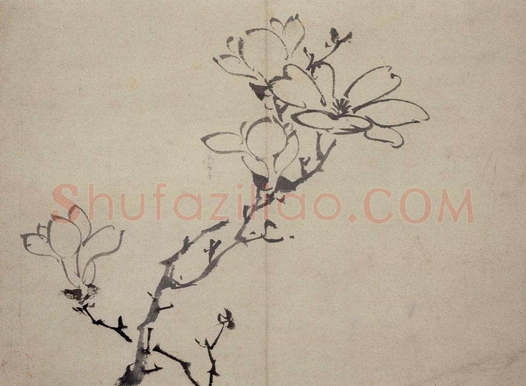  陈淳 《花卉图》 书画作品