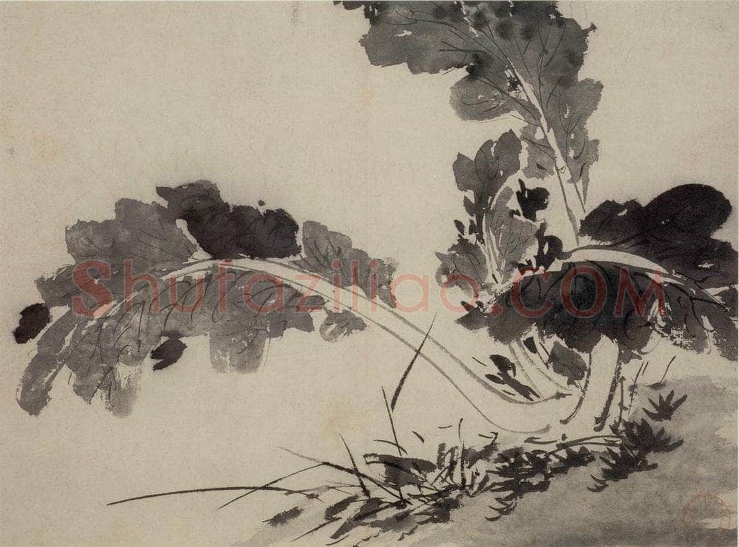 陈淳 《花卉图》 书画作品