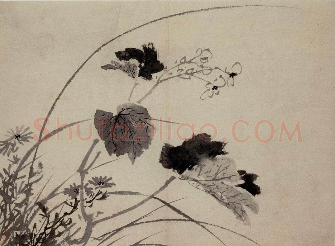  陈淳 《花卉图》 书画作品