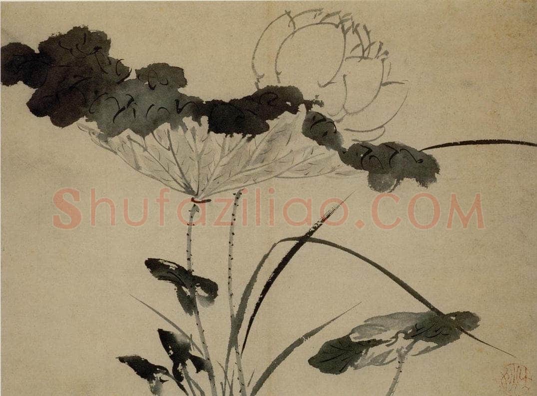 陈淳 《花卉图》 书画作品