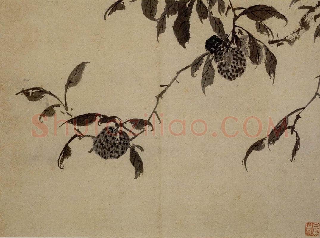 陈淳 《花卉图》 书画作品