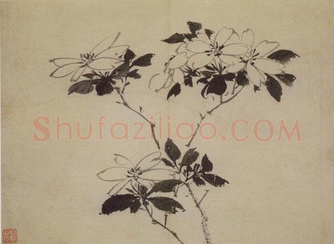 陈淳 《花卉图》 书画作品