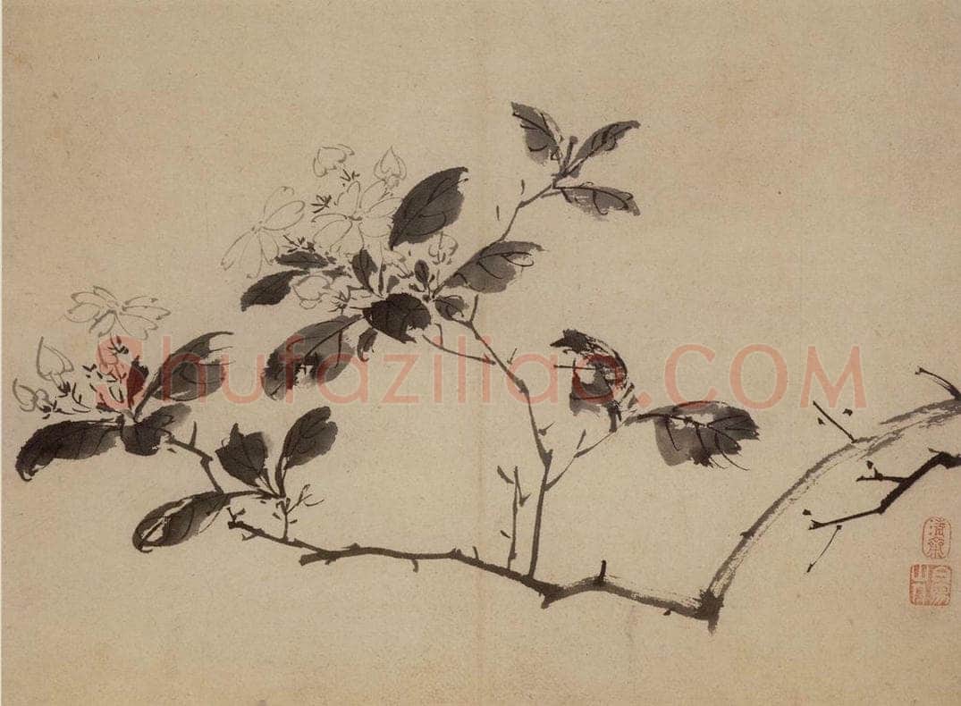 陈淳 《花卉图》 书画作品
