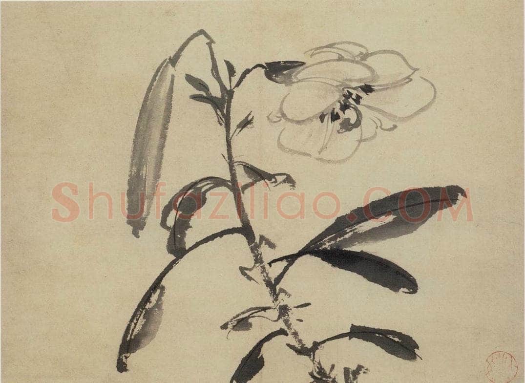  陈淳 《花卉图》 书画作品