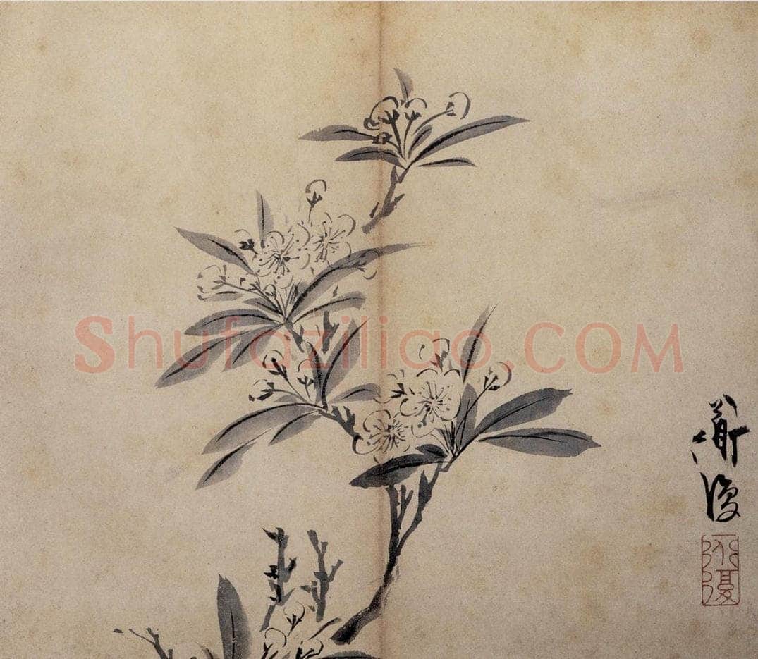  陈淳 《花卉册》 书画作品