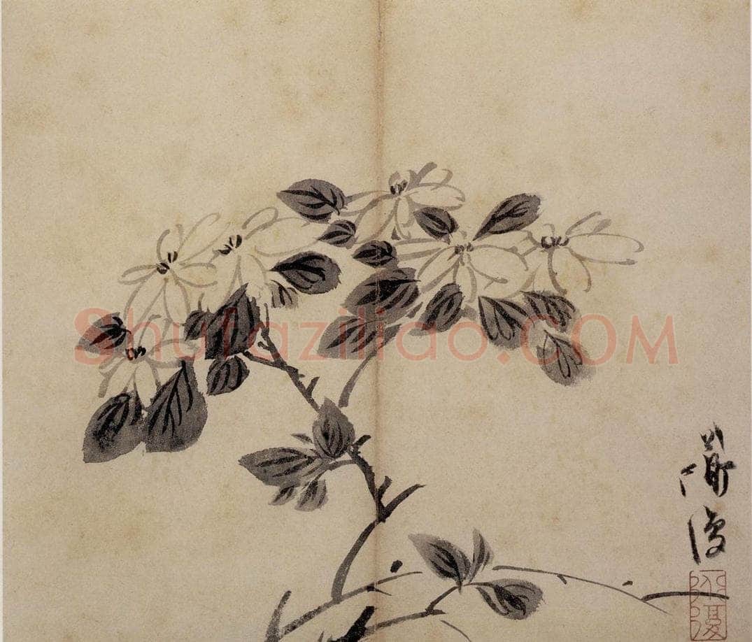 陈淳 《花卉册》 书画作品