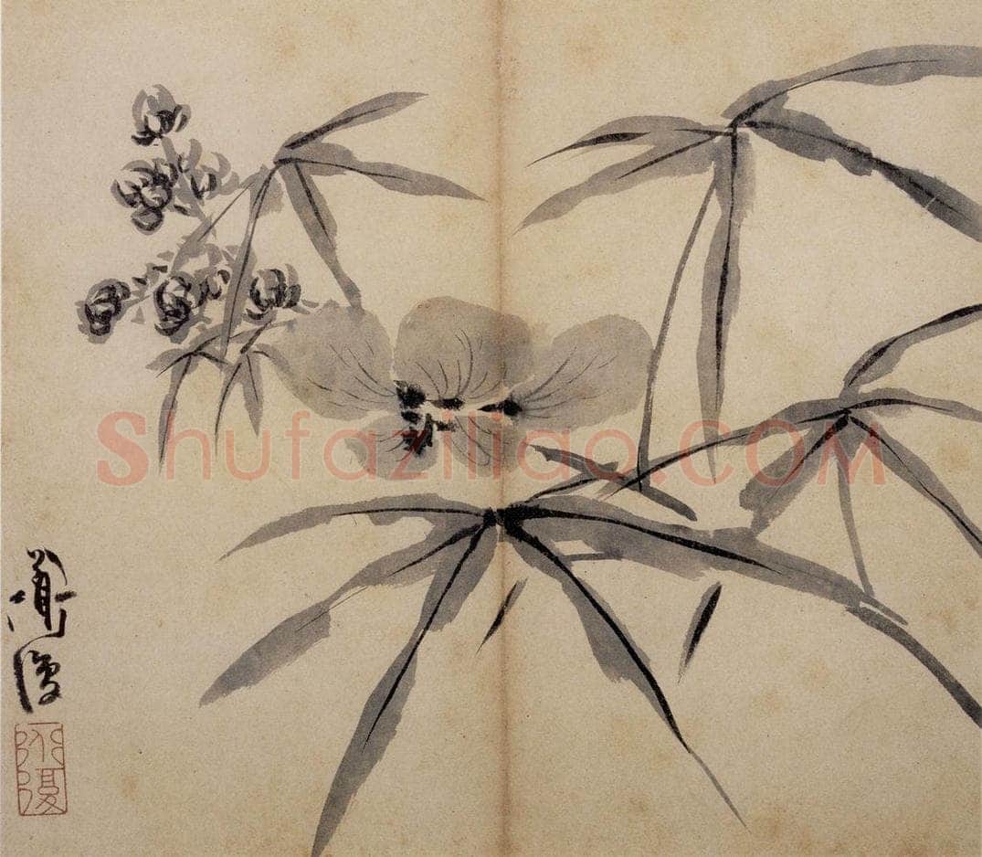 陈淳 《花卉册》 书画作品