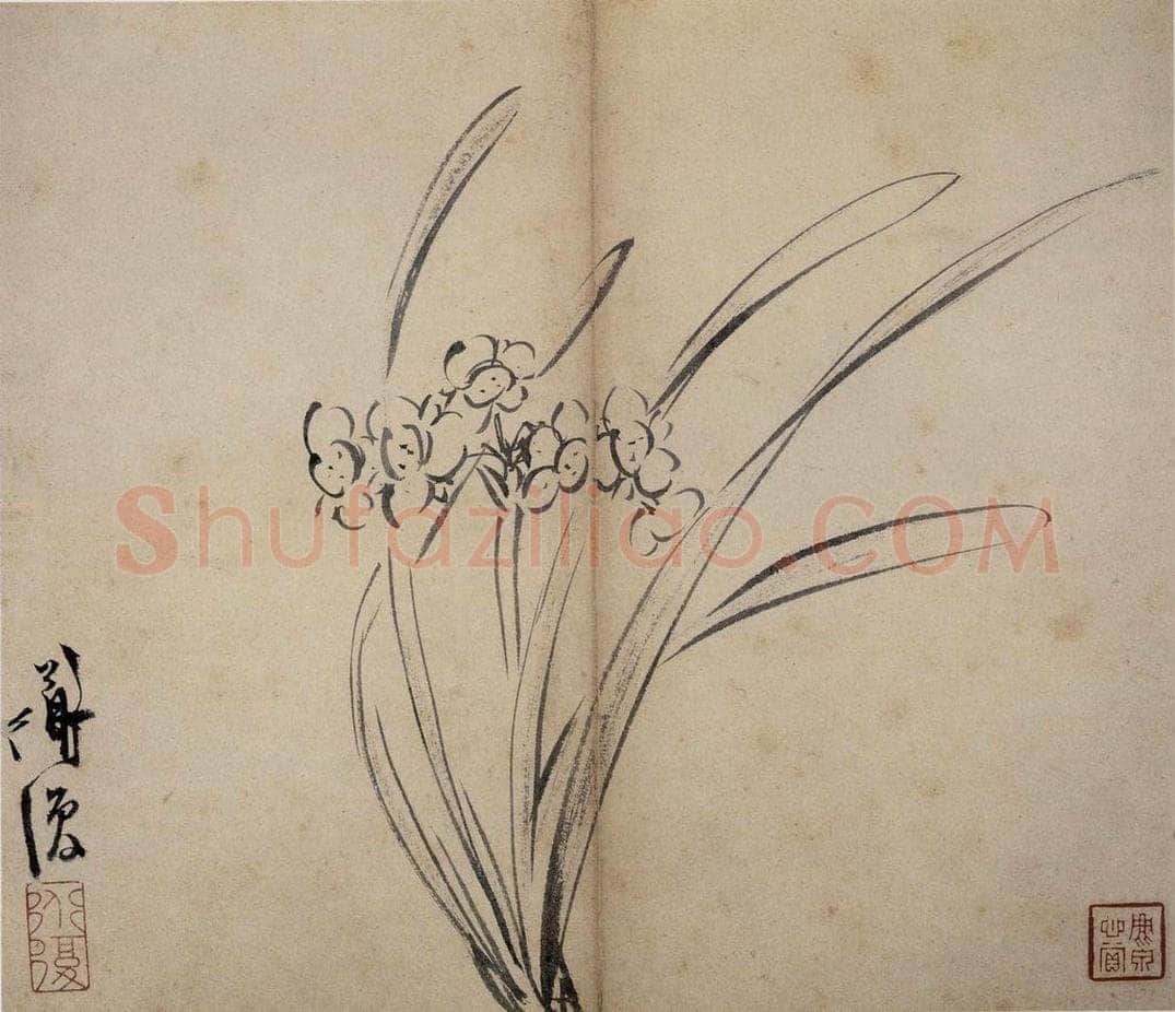 陈淳 《花卉册》 书画作品