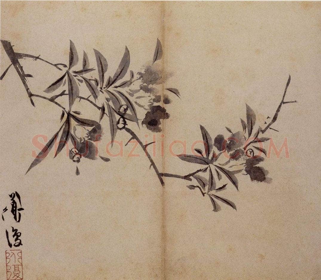 陈淳 《花卉册》 书画作品