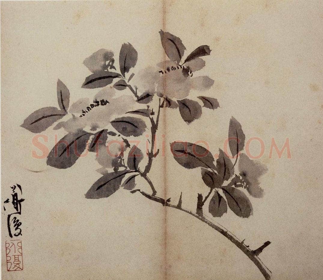 陈淳 《花卉册》 书画作品