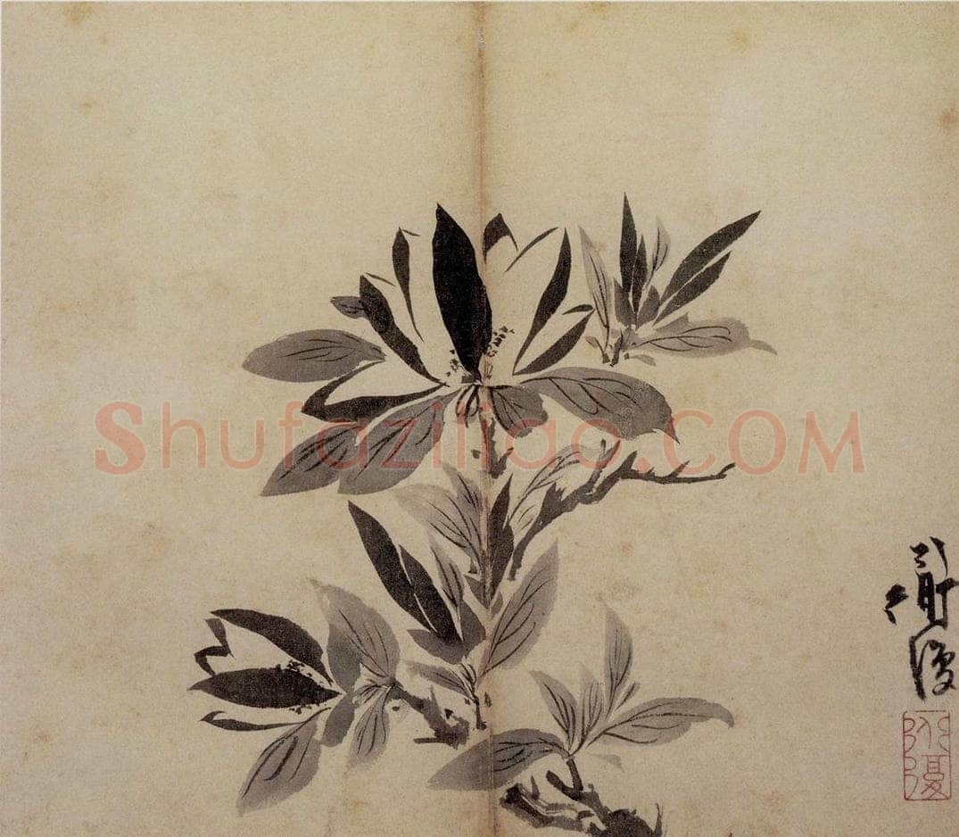  陈淳 《花卉册》 书画作品